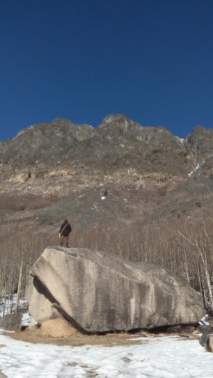 Der kleine 2-Meter-Tyrel steht auf grossem Findling und versucht auf dem Berg im Hintergrund Schafe zu entdecken.