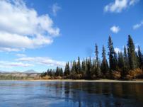 Das Ufer ist gesaeumt von den langen, duerren Nadelbaeumen, die typisch fuer unsere borealen Nadelwaelder sind.